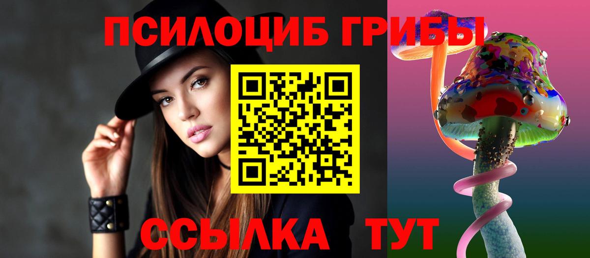 Псилоцибиновые грибы мицелий Коломна