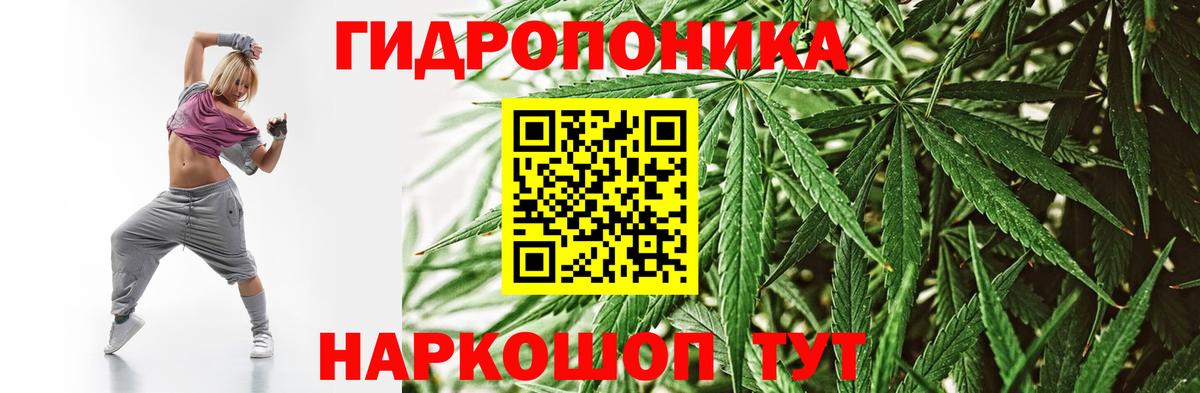Конопля сатива Коломна